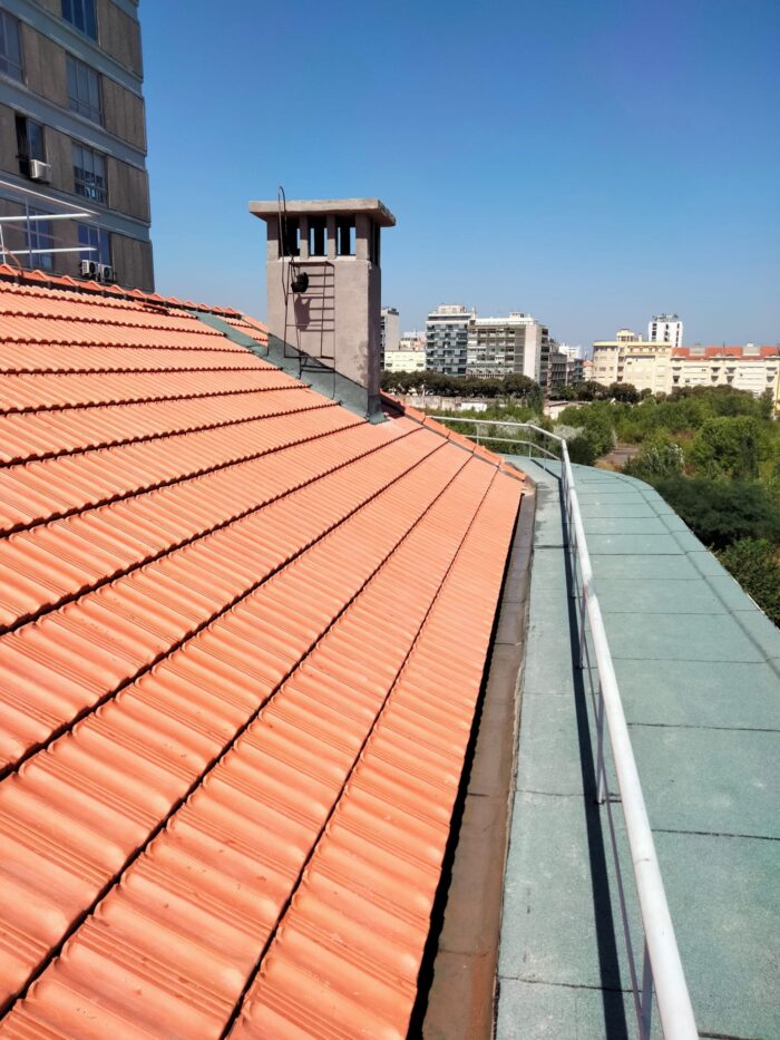 SubstituicaoTelhadoMarselha1